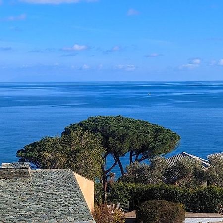 Superb Apartment With Sea View, 200M From Beach San-Martino-di-Lota Exterior photo