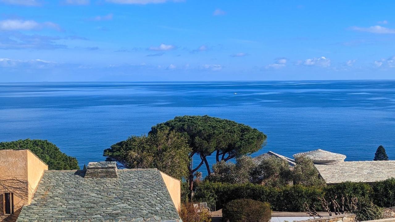 Superb Apartment With Sea View, 200M From Beach San-Martino-di-Lota Exterior photo