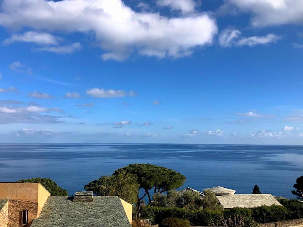 Superb Apartment With Sea View, 200M From Beach San-Martino-di-Lota Exterior photo