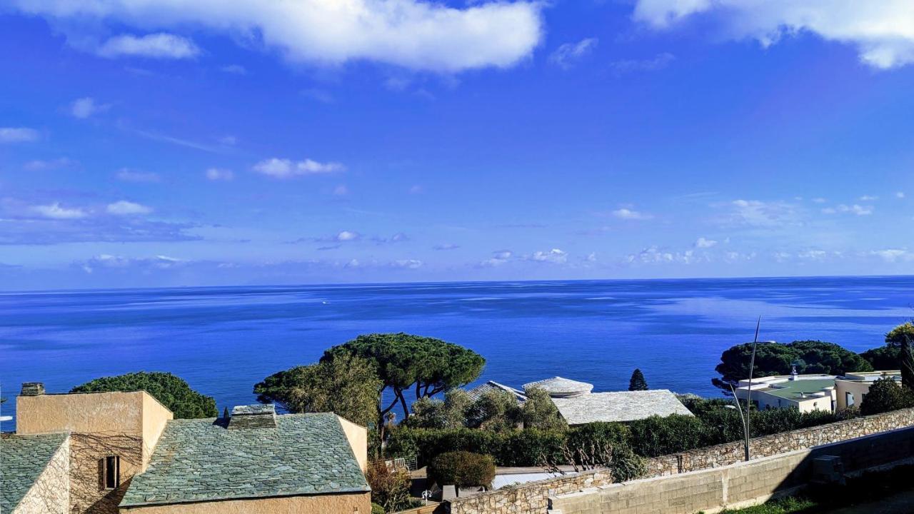 Superb Apartment With Sea View, 200M From Beach San-Martino-di-Lota Exterior photo